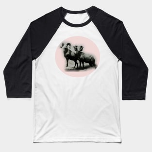 Mountain goats Baseball T-Shirt